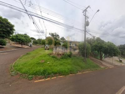 Terreno para Venda, em Cascavel, bairro Centro